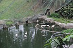 2120.jpg 2120.jpg