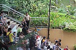 2135.jpg 2135.jpg