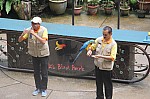 2138.jpg 2138.jpg