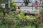 2149.jpg 2149.jpg