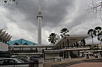 2181.jpg 2181.jpg