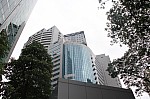 2239.jpg 2239.jpg