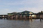 2449.jpg 2449.jpg