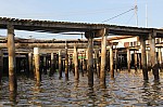 2455.jpg 2455.jpg