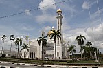 2553.jpg 2553.jpg