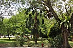 2667.jpg 2667.jpg