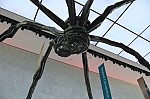 3175.jpg 3175.jpg