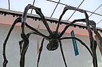 3185.jpg 3185.jpg