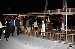 3242.jpg 3242.jpg