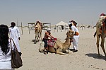 3342.jpg 3342.jpg