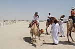 3355.jpg 3355.jpg
