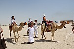 3356.jpg 3356.jpg