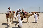 3357.jpg 3357.jpg