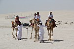 3369.jpg 3369.jpg