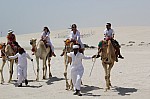 3372.jpg 3372.jpg