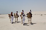 3373.jpg 3373.jpg