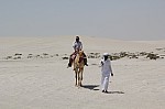3393.jpg 3393.jpg