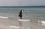 3557.jpg 3557.jpg