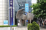 3809.jpg 3809.jpg