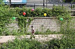 3893.jpg 3893.jpg