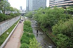 4287.jpg 4287.jpg