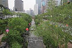 4288.jpg 4288.jpg