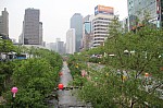 4289.jpg 4289.jpg
