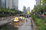 4312.jpg 4312.jpg