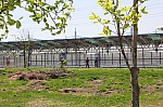 4395.jpg 4395.jpg