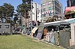 4439.jpg 4439.jpg