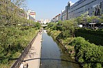 4454.jpg 4454.jpg