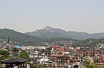4510.jpg 4510.jpg