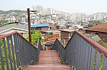 4516.jpg 4516.jpg