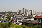4519.jpg 4519.jpg