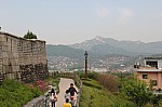 4537.jpg 4537.jpg