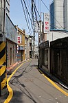 4667.jpg 4667.jpg