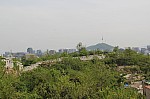 4731.jpg 4731.jpg