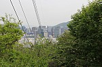 4732.jpg 4732.jpg