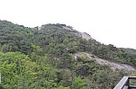 4737.jpg 4737.jpg