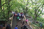 4817.jpg 4817.jpg