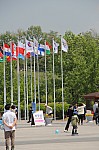 4962.jpg 4962.jpg