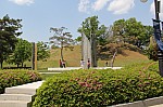 4981.jpg 4981.jpg