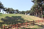 5065.jpg 5065.jpg