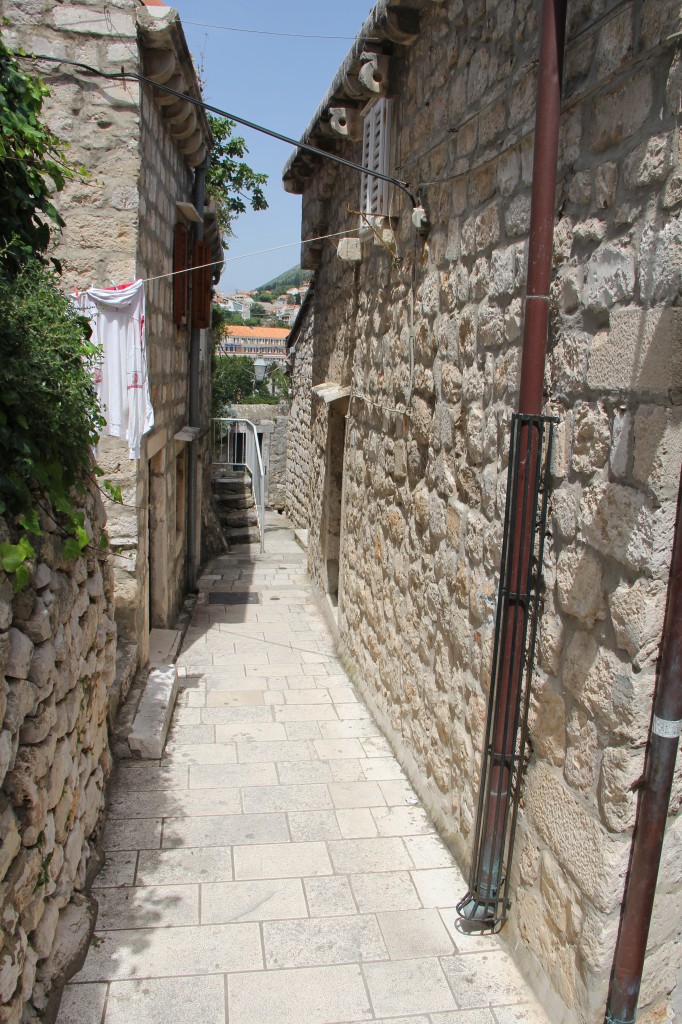 5423.jpg