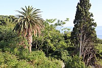 5246.jpg 5246.jpg