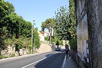 5249.jpg 5249.jpg