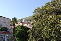 5282.jpg 5282.jpg
