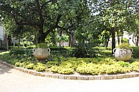 5311.jpg 5311.jpg