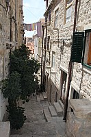 5339.jpg 5339.jpg