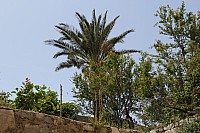 5406.jpg 5406.jpg